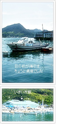 e0136420_19243042.jpg
