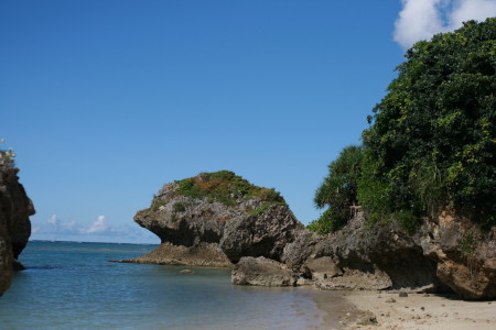 f0097620_954075.jpg