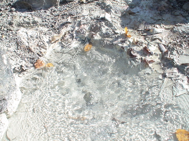 f0028123_236519.jpg
