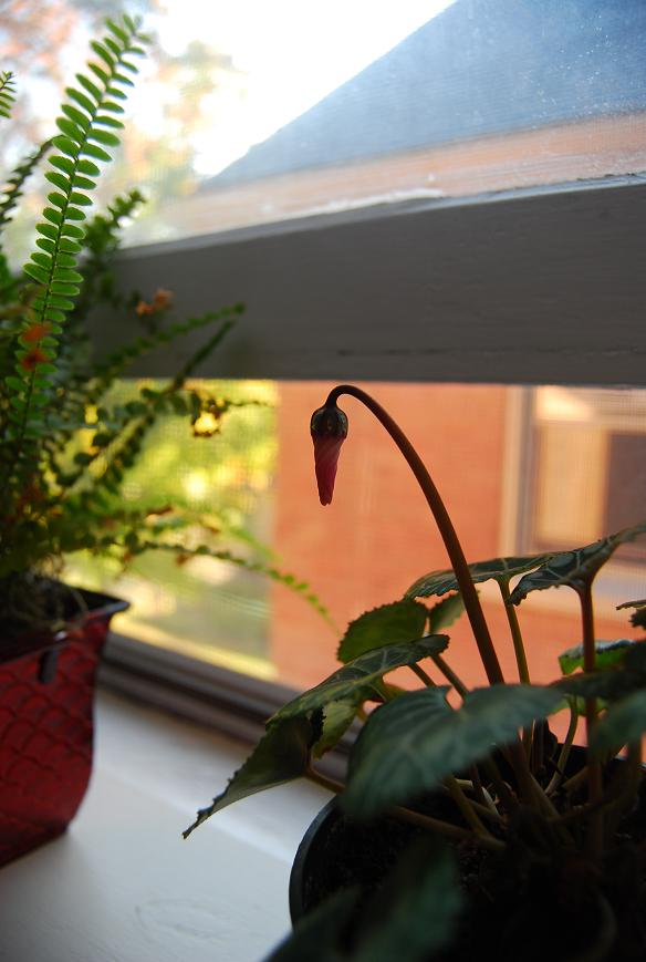 f0111926_9162841.jpg