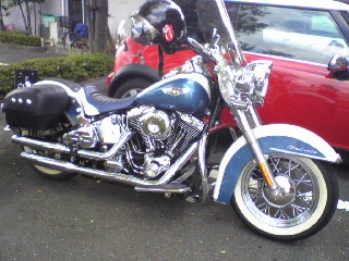 a0099129_1736010.jpg