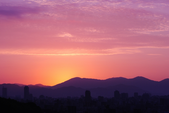 c0175532_8551023.jpg