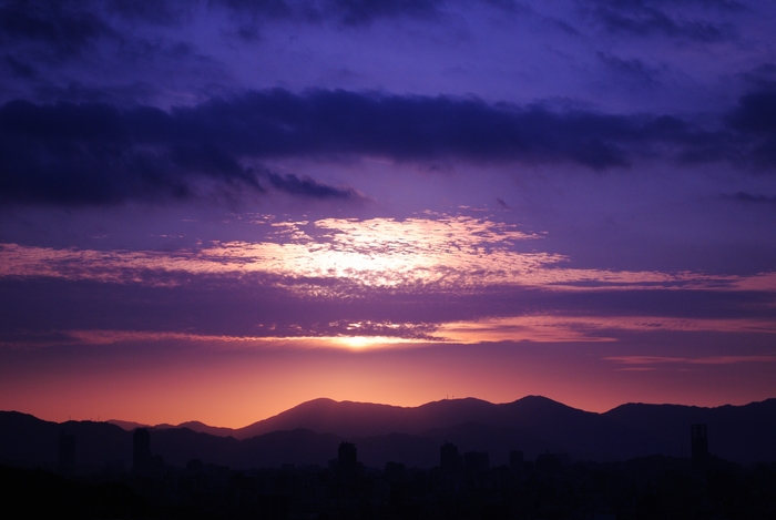 c0175532_856292.jpg