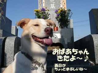 d0140133_8174264.jpg