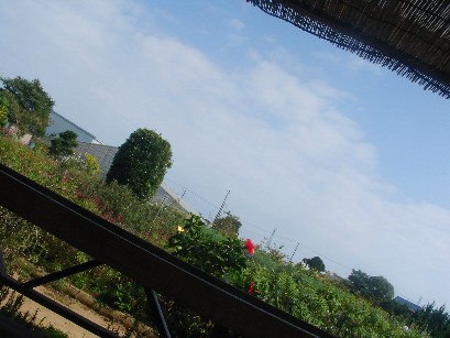 f0002833_21555345.jpg