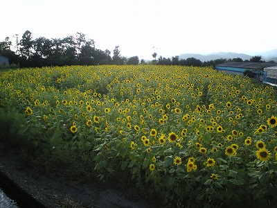 f0138934_19101462.jpg