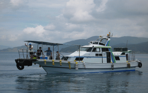 b0100637_16315620.gif