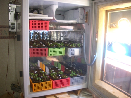 c0025140_18165179.jpg