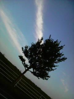 e0080641_1719942.jpg