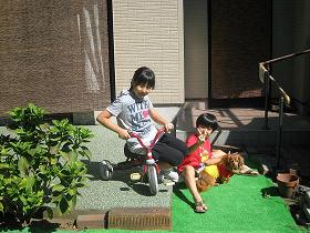 c0206342_1732593.jpg