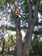 e0181546_17113920.jpg
