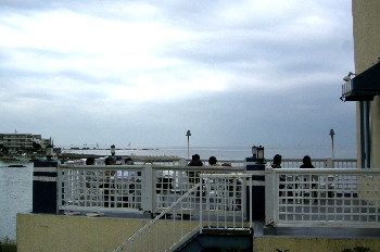 a0003150_9565949.jpg