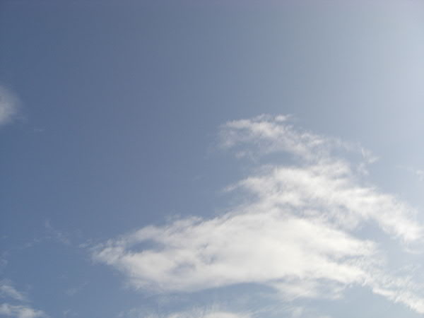 e0017051_2363486.jpg