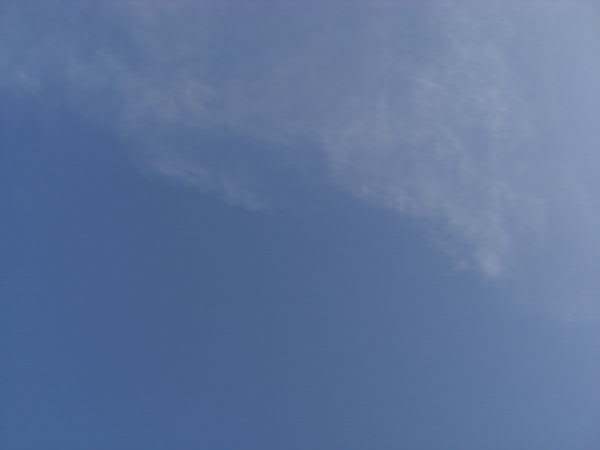 e0017051_2364719.jpg