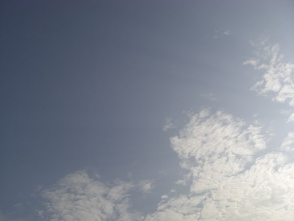 e0017051_2371922.jpg