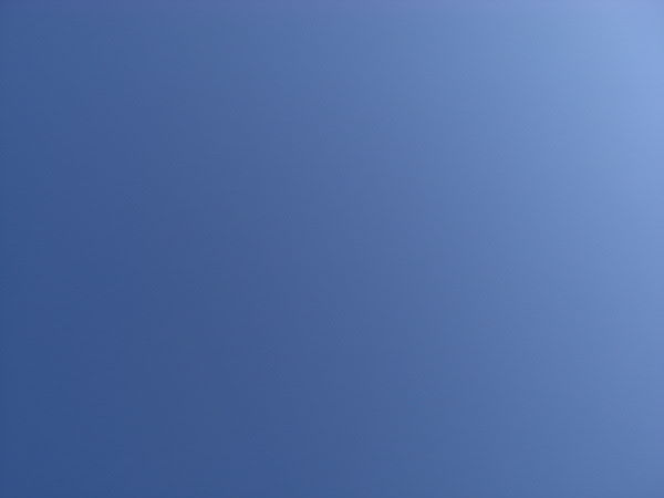 e0017051_2373286.jpg