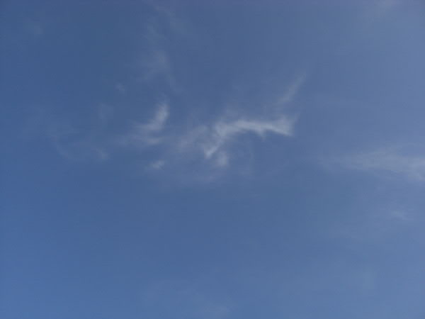 e0017051_237381.jpg