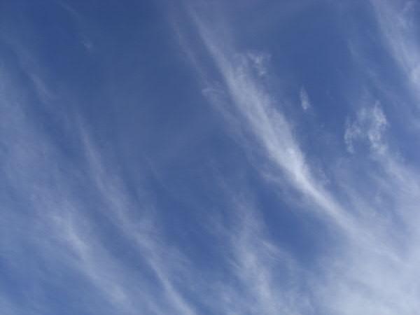 e0017051_2374540.jpg
