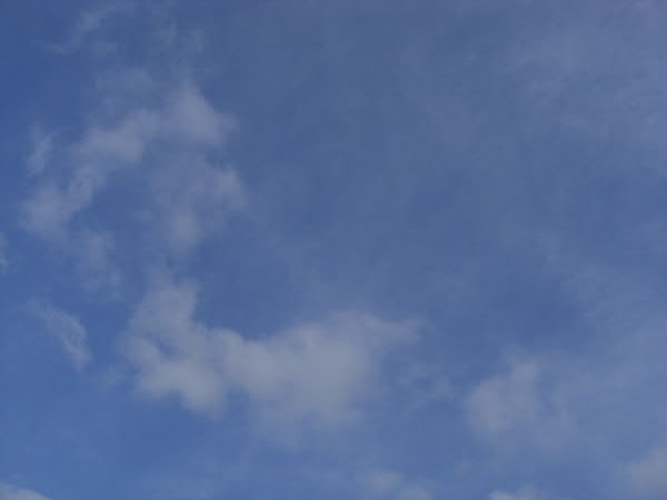 e0017051_2375835.jpg