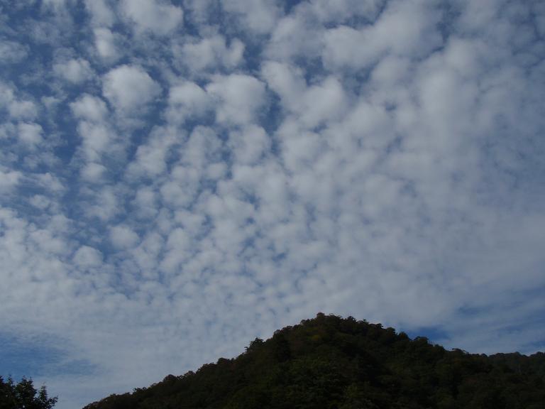b0177355_22114839.jpg