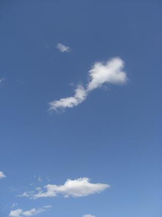 f0142862_18514216.jpg