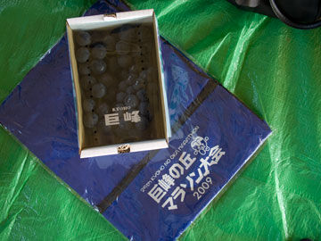 c0177264_1538627.jpg