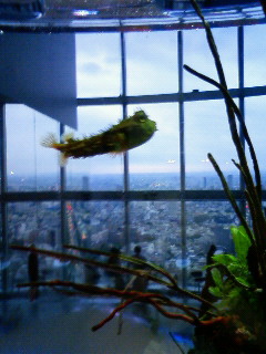 f0066464_22302051.jpg