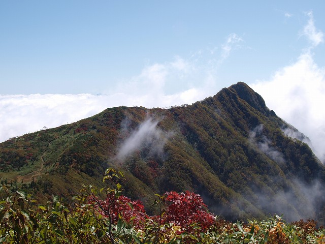 d0025568_7154865.jpg