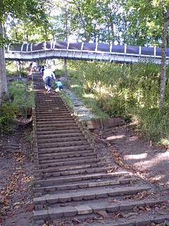 f0171268_23115753.jpg