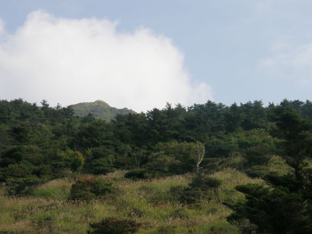 c0042869_18544024.jpg