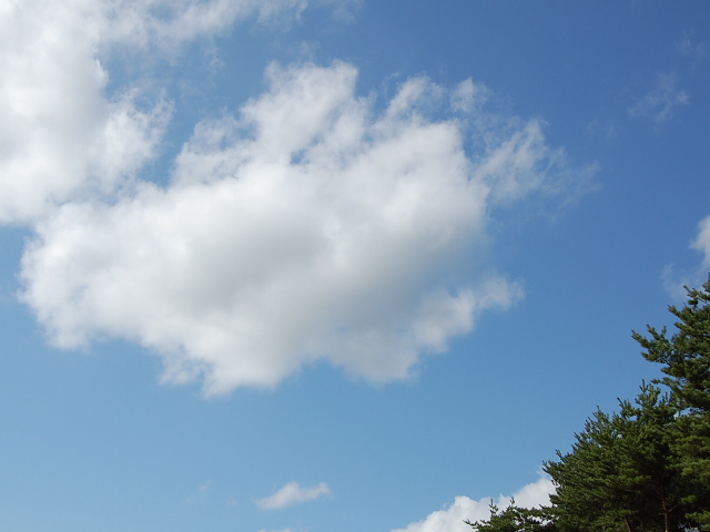 a0038370_0134245.jpg