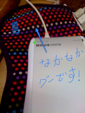 a0000273_11135011.jpg