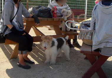 b0091373_0473554.jpg