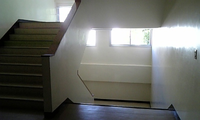 e0113675_10203472.jpg