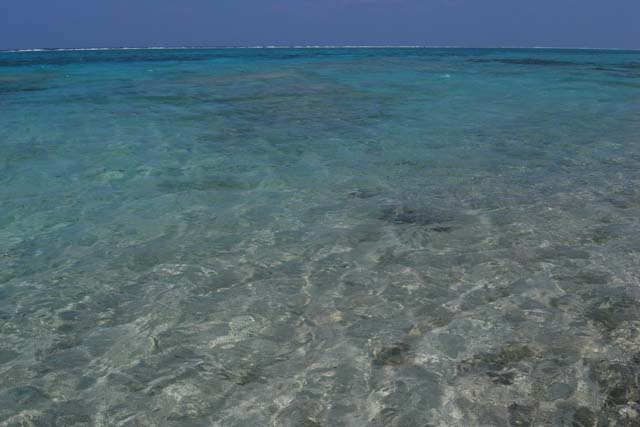 e0147575_22434840.jpg