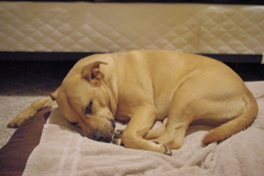 f0004775_5443271.jpg