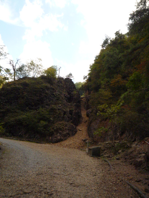 c0160778_20292247.jpg
