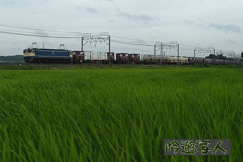 c0206178_6544096.jpg