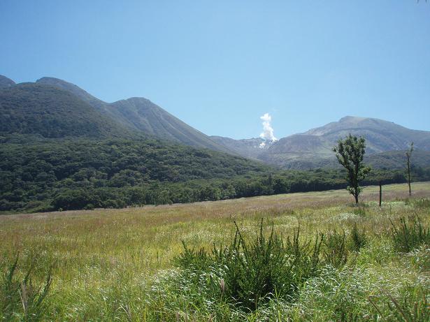 f0101679_23362443.jpg