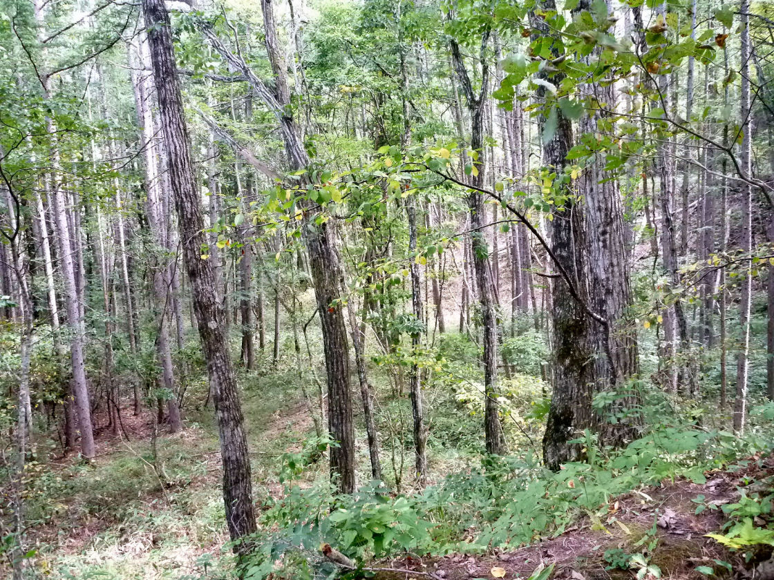 a0066081_19423857.jpg