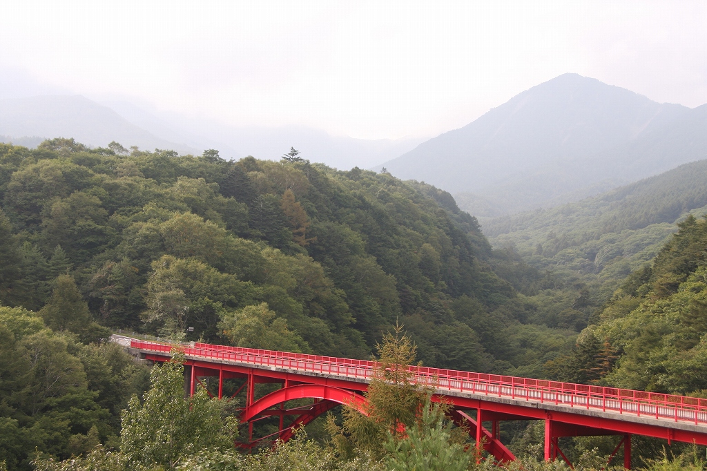 e0024081_20354430.jpg
