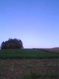 e0060483_213447100.jpg