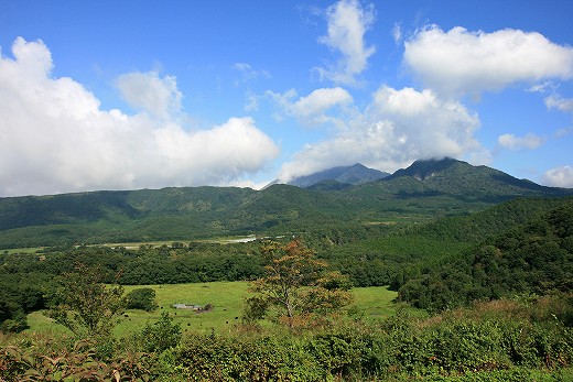 e0190885_19533735.jpg