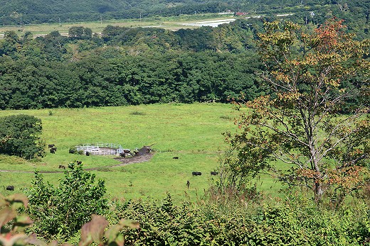 e0190885_19562190.jpg