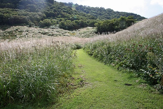 e0190885_19575045.jpg
