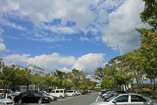 e0190885_2013159.jpg
