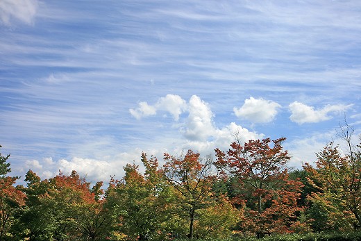 e0190885_201443.jpg