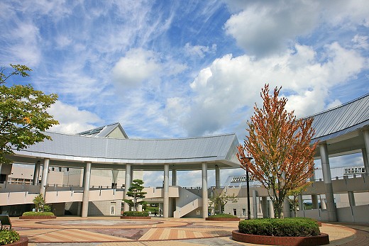 e0190885_2021764.jpg