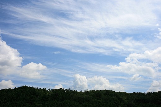 e0190885_2042141.jpg