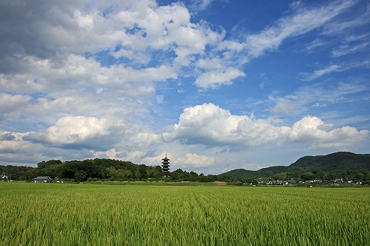 e0190885_204431.jpg